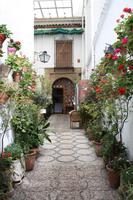 un patio andaluz - ein andalusischer Innenhof