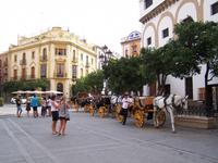 Stadtrundgang in Sevilla
