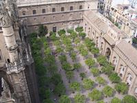 Blick vom Giralda-Turm auf den Orangenhof