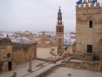 Im Alcazar von Carmona