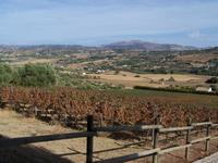 Blick von der Bodega Los Frutales