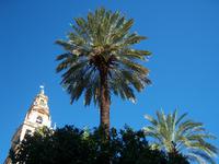 im Innenhof der Mezquita