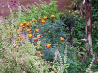 Blumenpracht in der Alhambra