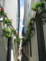 Blumengesäumte Gasse