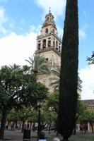 Blick zum Glockenturm der Mezquita