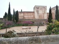 Alhambra in Granada