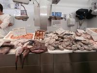 Mercado Central in Cadiz