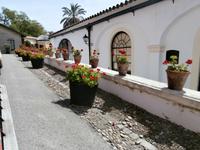 Bodega Tio Pepe in Jerez de la Frontera