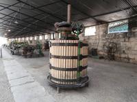 Bodega Tio Pepe in Jerez de la Frontera