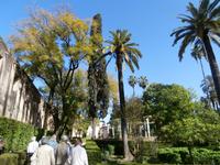 unterwegs in Sevilla im Alcazar