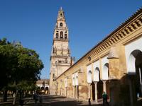Glockenturm im Innenhof der Mezquita Cordoba