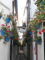 Blumengasse in Cordoba