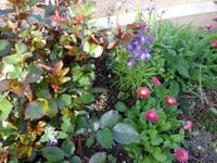 Alhambra und Generalife