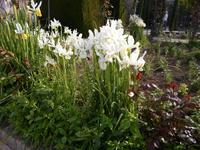Alhambra und Generalife