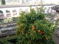 Alhambra und Generalife