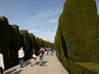 Alhambra und Generalife