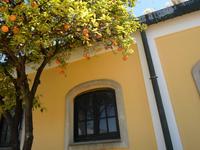 in Jerez- Besuch einer Bodega