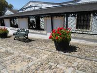 in Jerez- Besuch einer Bodega