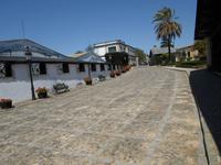 in Jerez- Besuch einer Bodega