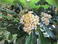in der Alhambra in Granada