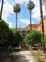 im Alcazar in Sevilla