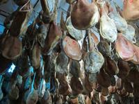 in der Schinkenfabrik in Trevelez