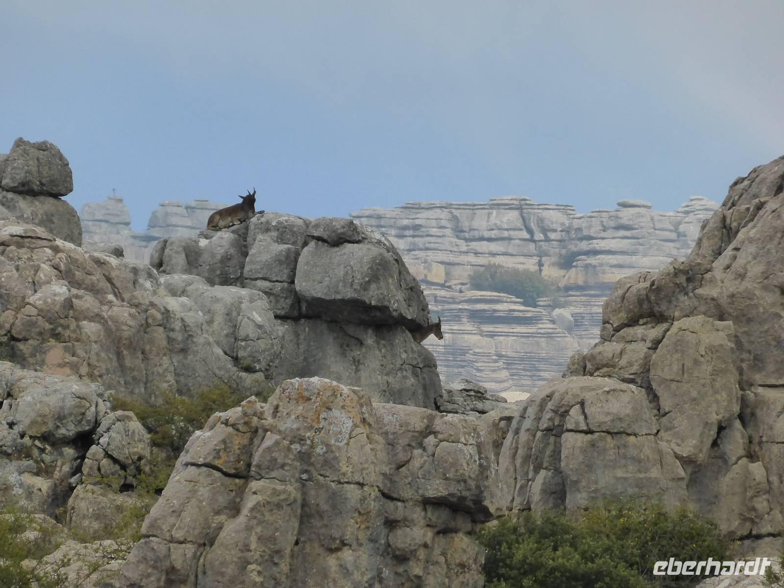Wanderung im Naturpark El Torcal