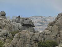 Wanderung im Naturpark El Torcal