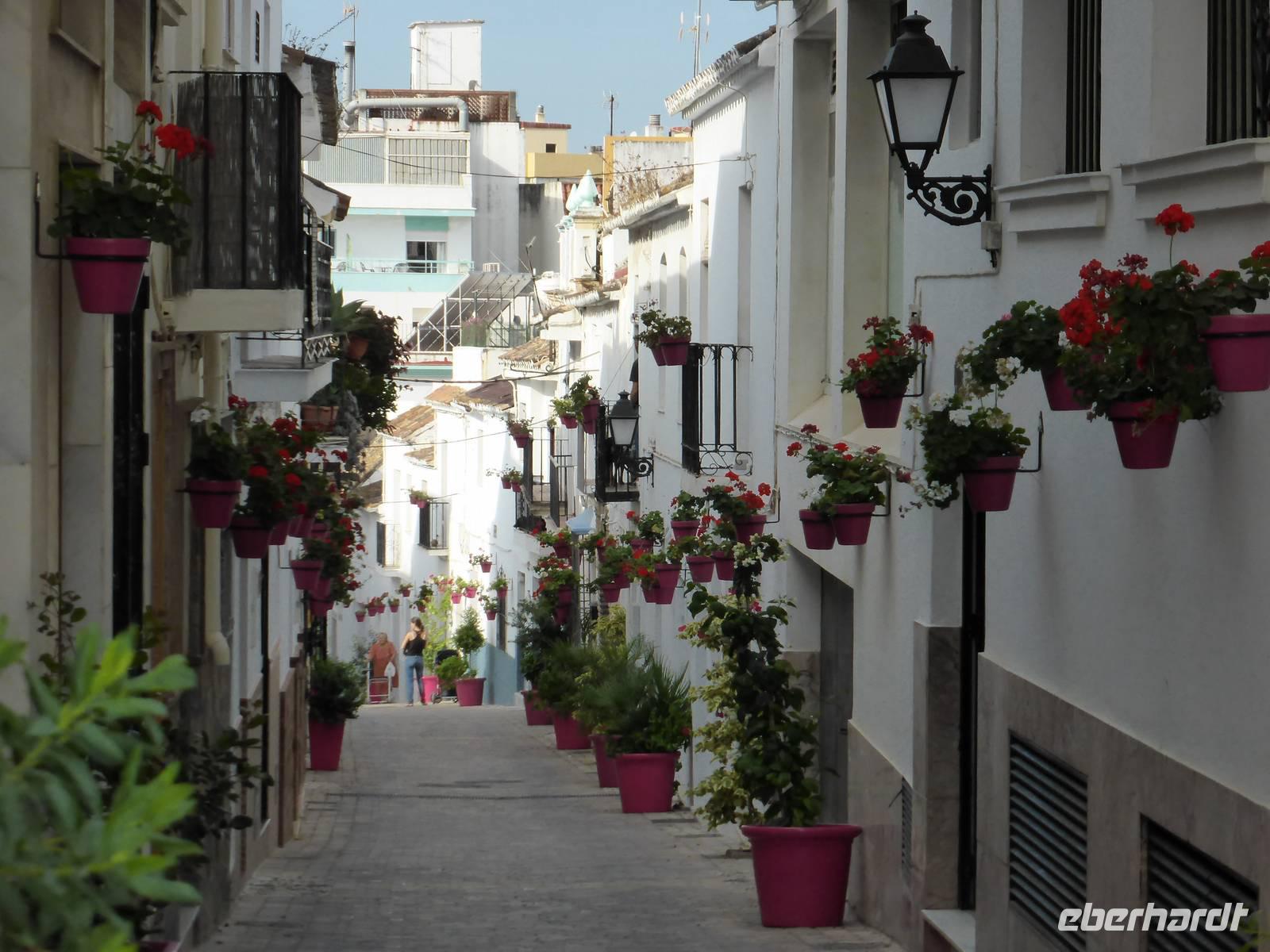 Ausflug nach Estepona