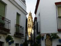 Cordoba - Blick von Blumengasse zum Turm