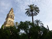 Cordoba - Turm der Kathedrale