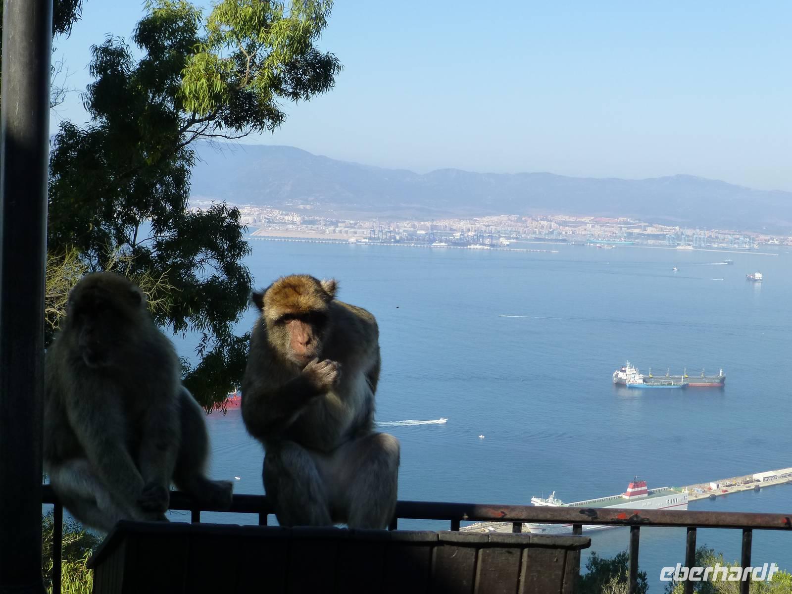 Gibraltar - Blick über die Bucht von Algeciras
