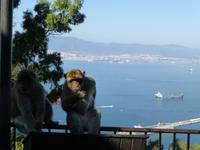 Gibraltar - Blick über die Bucht von Algeciras
