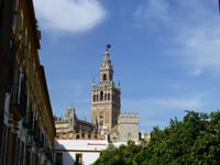 Sevilla - Blick zur Kathedrale 