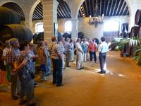 Tio Pepe - im Königlichen Weinkeller