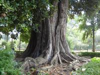 234 Sevilla Impressionen