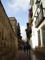 236 Sevilla Impressionen