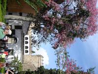 242 Sevilla Koenigspalast