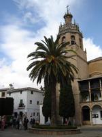 281 Kathedrale Maria de la Mayor