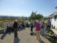 Besuch auf Juanito´s Zitrusfarm 