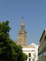 Blick auf die Kathedrale von Sevilla