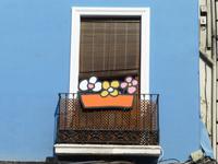 immerblühender Blumenkasten in Granada