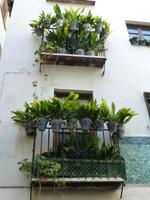 Balkonbegrünung extrem in Granada