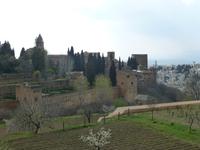 komplettansicht der Alhambra