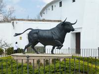 vor der Stierkampfarena in Ronda