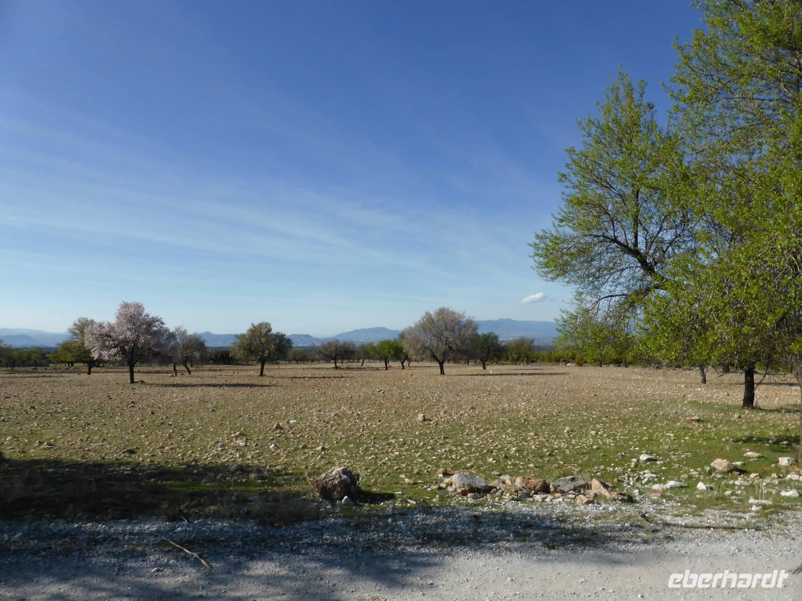 Landschaftsbild in Andalusien