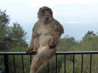 Gibraltar- St. Michaels Cave