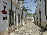 Jerez de la Frontera - Bodega Gonzales Byass