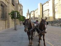 Cordoba - an der Mezquita