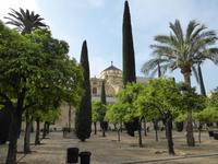 Cordoba - Innenhof der Mezquita